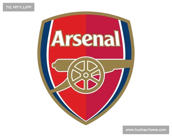 全方位全面解读阿森纳队徽象征意义与历史演变及文化底蕴深度解析 全方位全面解读阿森纳队徽象征意义与历史演变及文化底蕴深度解析