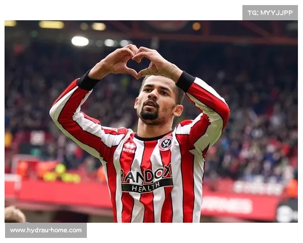 如何了解加的夫城所属的足球联赛及其历史背景